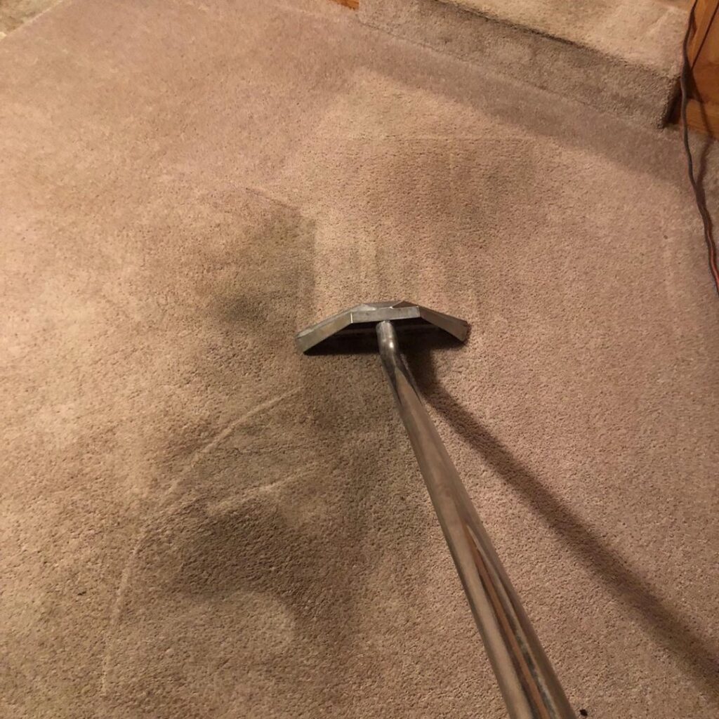 A professional carpet cleaning wand in action on a residential carpet by Pile's Carpet Care & Restoration Service in Elizabethtown, KY.