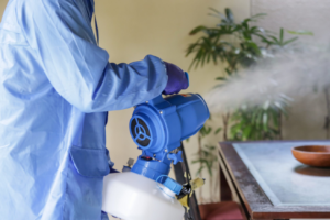 A professional performing disinfection fogging indoors, part of comprehensive house cleaning by ABF Professional Cleaning Inc in Jackson, WY.