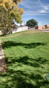A professionally mowed lawn with distinct stripes by Green Thumb Lawn Care & Maintenance, LLC in Rio Rancho, NM.