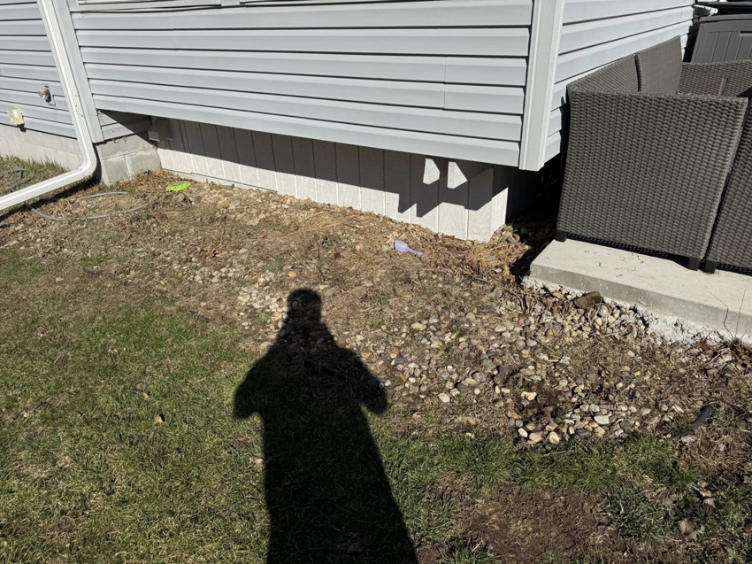 Property yard area needing cleanup and preparation by Elite Property Care in Albany, NY.