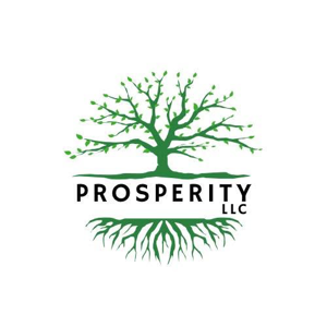 Prosperity Builders logo - Professional Water Damage Specialist in Clovis, NM