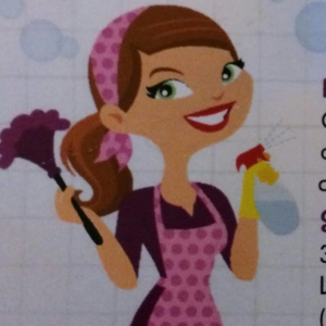 Quality Cleaning for Less