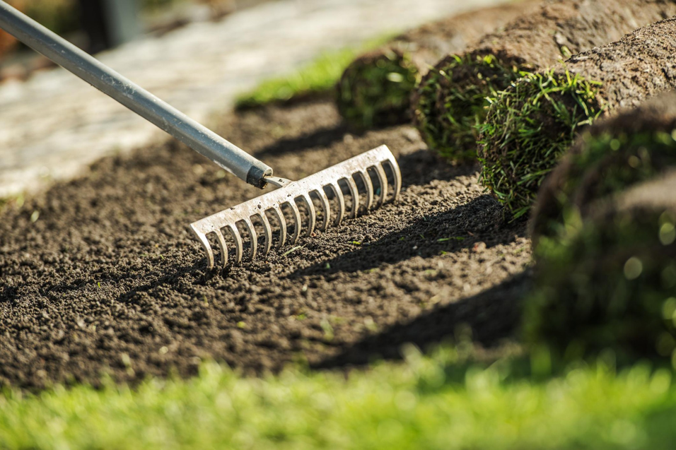 A rake preparing soil for sod installation, with sod rolls in the background, by All American Sod LLC in Sandy, UT.