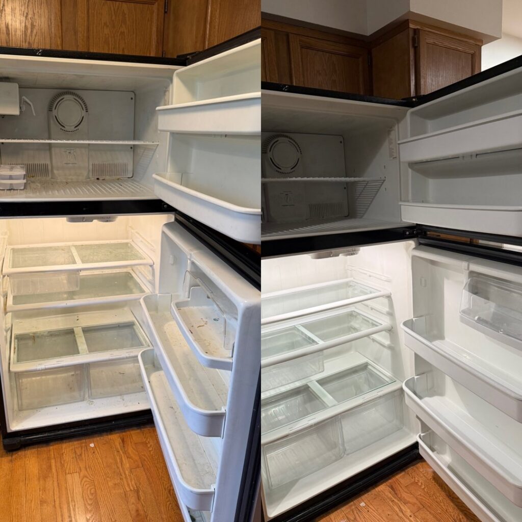 Clean and organized refrigerator shelves after a deep cleaning service from GentleNest Home Cleaning in Livonia, MI.