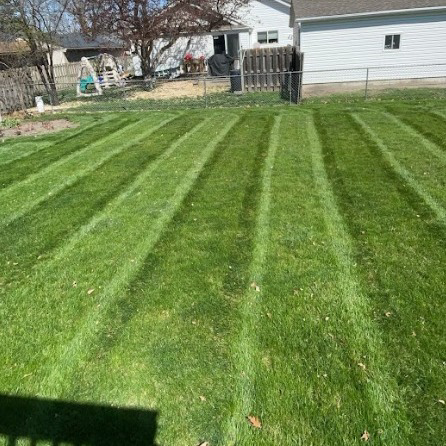 A well-maintained residential backyard with a freshly mowed, striped lawn by Ankeny Grass Guys in Ankeny, IA.