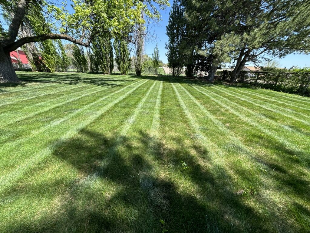 A residential front yard with perfectly cut stripes, demonstrating the quality of Luna's Lawn Care LLC in West Des Moines, IA.