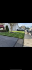 A residential lawn with precise edging around a tree and mulched bed, showcasing services by A & J Lawn Care LLC in Seaford, DE.