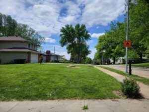 Residential lawn maintenance and cleanup service by Lovett lawn care & snow removal in Omaha, NE.