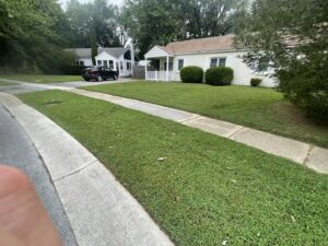 A residential lawn showing fresh mow lines after professional mowing service by Mike's Lawn Care Service in Dover, DE.