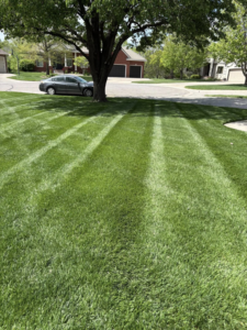 Residential lawn with distinct mowing stripes, indicating professional care by EZ Cut Lawn Care & Landscaping, Crestview, FL.