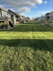 A beautifully striped lawn in a residential neighborhood, maintained by Ankeny Grass Guys in Ankeny, IA.