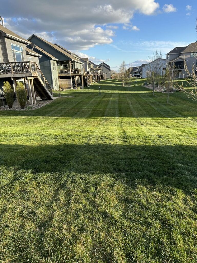 A beautifully striped lawn in a residential neighborhood, maintained by Ankeny Grass Guys in Ankeny, IA.