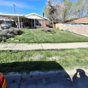 A residential lawn with tall grass and weeds, indicating a need for maintenance by Atkinson Lawn Care Service in Salt Lake City, UT.
