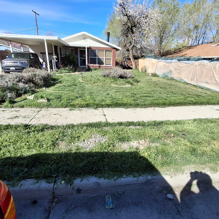 A residential lawn with tall grass and weeds, indicating a need for maintenance by Atkinson Lawn Care Service in Salt Lake City, UT.