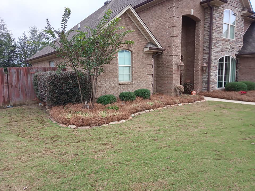 A neatly maintained residential side yard with trimmed bushes and pine straw by Turner Lawn Care in Tupelo, MS.