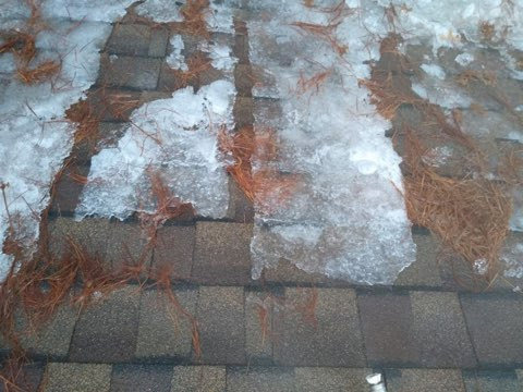 A close-up of a roof with ice and pine needles, indicating potential water damage issues addressed by Local Clean Up Specialists in Green Bay, WI.