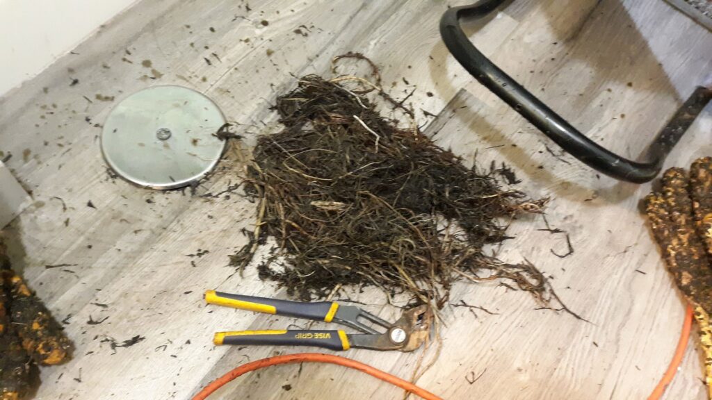 A large pile of roots and debris removed from a clogged drain by Central Wyoming Drain Service in Casper, WY.