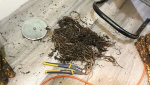 A large pile of roots and debris removed from a clogged drain by Central Wyoming Drain Service in Casper, WY.