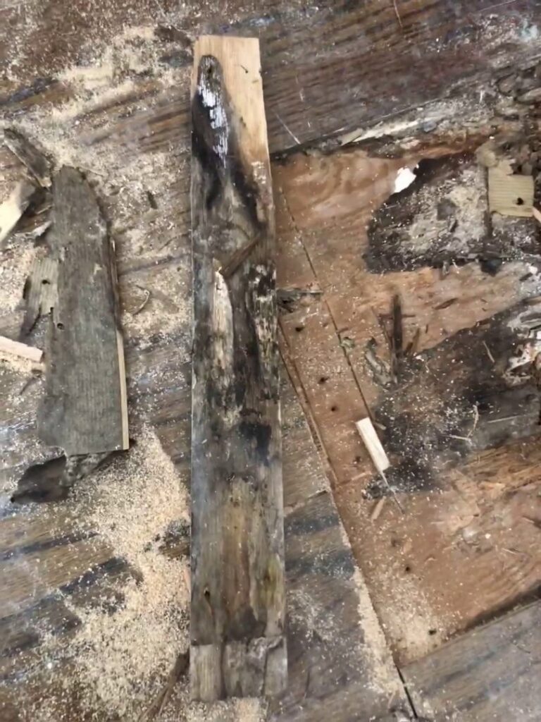A close-up of a rotted and water-damaged wooden floorboard, indicating severe structural damage addressed by One Call Services of Oakland in Oakland, CA.