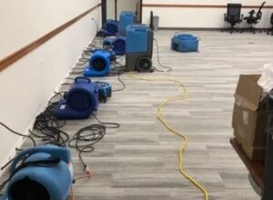 A row of industrial dehumidifiers and air movers actively drying a large area affected by water damage, a key service of Standard Restoration in Salt Lake City, UT.