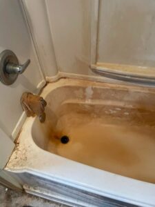 A heavily rust-stained bathtub before deep cleaning services by Teri Lynn's Cleaning in Williston, ND.