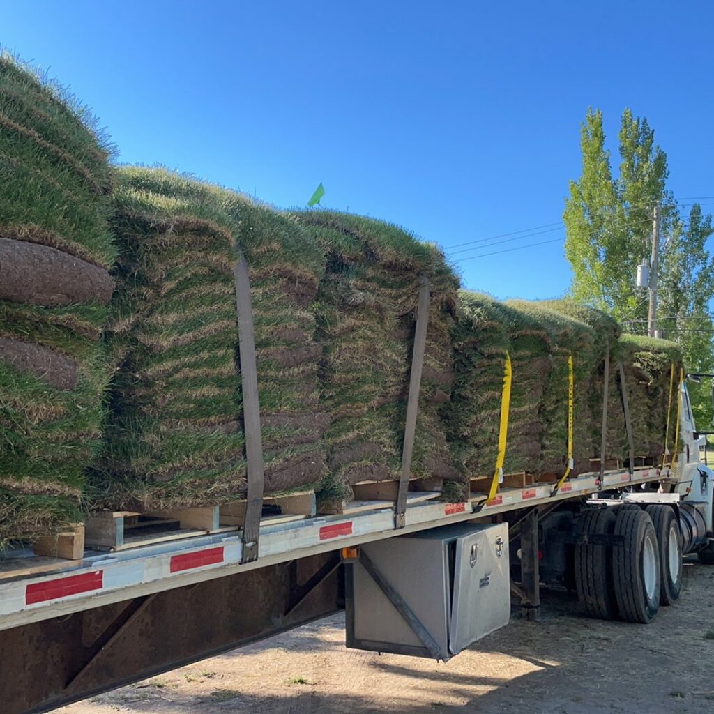 A semi-truck loaded with pallets of fresh sod, ready for delivery from Aspen Sod in Layton, UT.