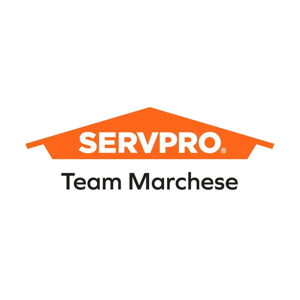 SERVPRO Lincoln