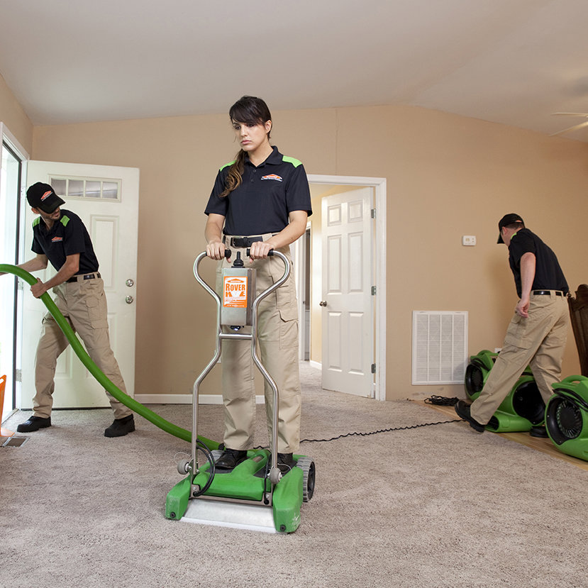 SERVPRO technicians performing carpet water extraction and setting up drying equipment in a home in Annapolis/Severna Park, MD.