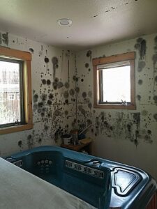 A bathroom with severe mold growth on the walls and ceiling, indicating a need for remediation by North Shore Restore in Duluth, MN