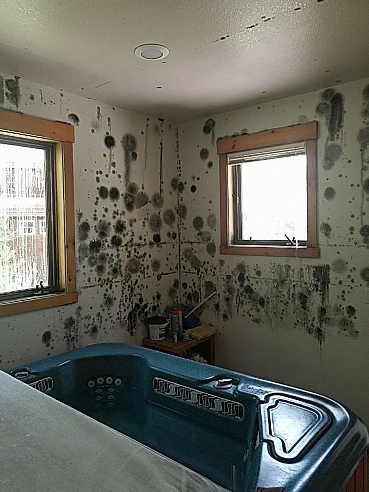 A bathroom with severe mold growth on the walls and ceiling, indicating a need for remediation by North Shore Restore in Duluth, MN