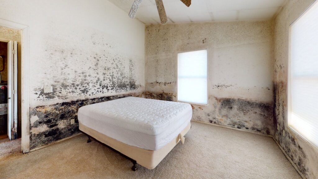 A bedroom showing severe mold growth on walls due to water damage, requiring remediation by Emergency Flood Team in Gilbert, AZ
