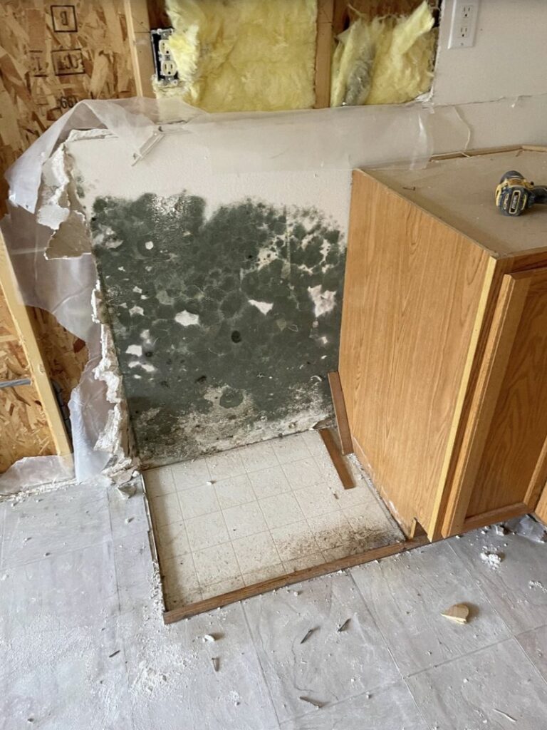 Severe mold growth on a wall behind a removed cabinet, indicating water damage remediation by SO-CO Water Damage in Pueblo, CO.