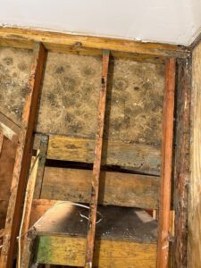 Severe mold growth on exposed subfloor and wall studs, indicating extensive water damage, by PuroClean of Hilton Head in Bluffton, SC.