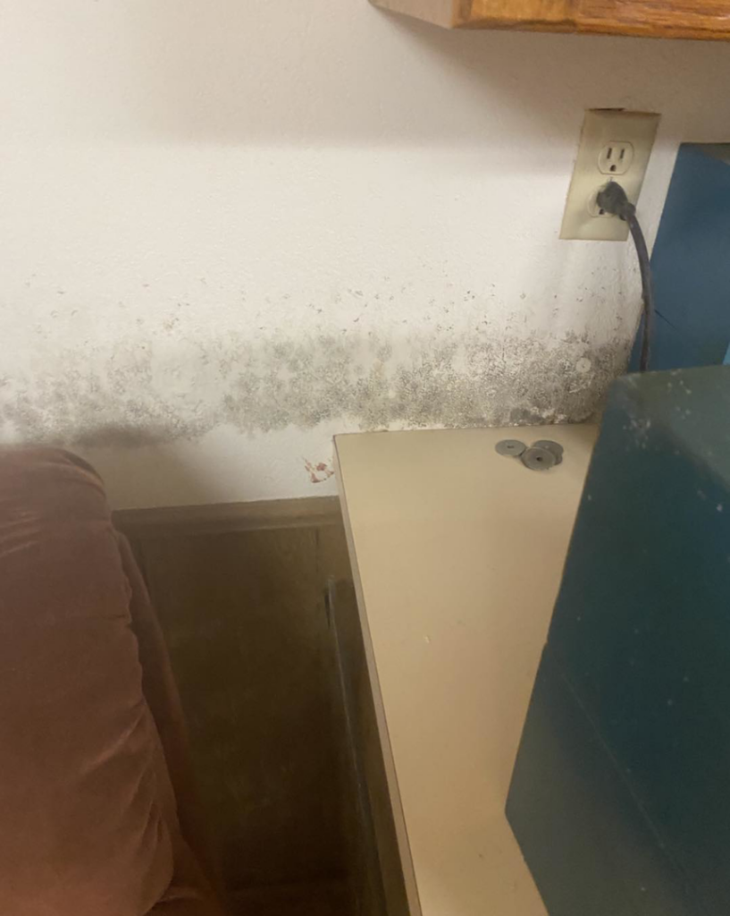 Severe mold growth on a white wall near an electrical outlet, indicating hidden water damage, addressed by 24HR Flood Pros of OKC in Oklahoma City, OK.