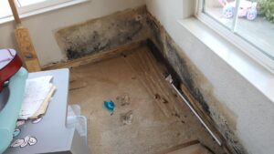 A room showing severe mold growth on the walls, a common consequence of untreated water damage, remediated by One Call Services of Oakland in Oakland, CA.