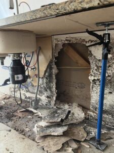 Severe mold growth and water damage under a sink cabinet, showing extensive damage requiring remediation by Lotus Restoration Services in Gilbert, AZ.