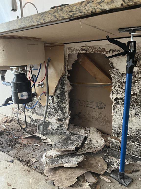 Severe mold growth and water damage under a sink cabinet, showing extensive damage requiring remediation by Lotus Restoration Services in Gilbert, AZ.