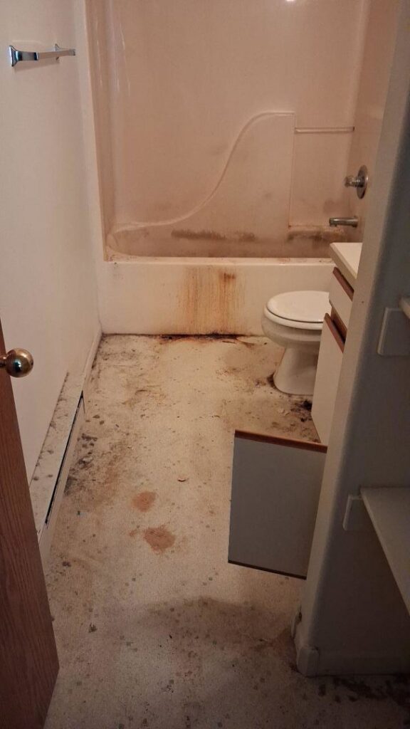 A bathroom showing severe water damage and mold growth on the floor and walls, requiring remediation by 406 Disaster Response in Billings, MT.
