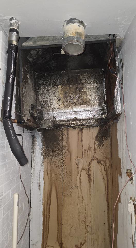 Severe water damage and mold covering a full wall and surrounding ductwork, demonstrating the need for restoration by ABS Restoration Services, Inc. in North Little Rock, AR