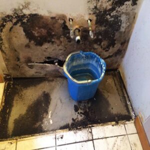 Severe water damage and extensive mold growth under a sink, with a bucket collecting water, handled by Restoration Specialist in O Fallon, MO.