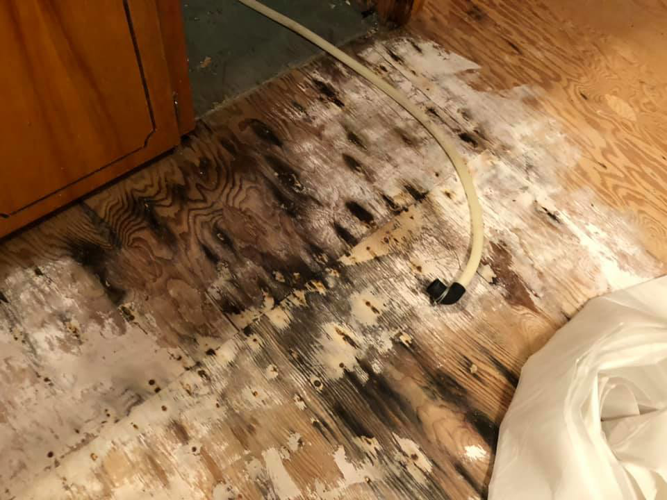 Severe water damage on a wooden floor, showing discoloration and peeling, requiring restoration by One Stop Dry Out Restoration of Arkansas in North Little Rock, AR.