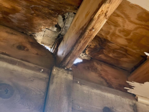 Close-up of severe water damage and rot on wooden beams and plywood, indicating a job for Service Rite in Lincoln, NE.