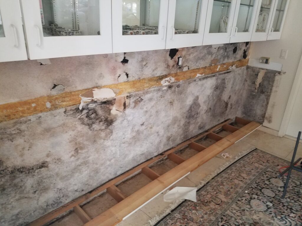 Severe water and mold damage on stripped walls, showing extensive remediation work by Elite Restoration LLC in Puyallup, WA.