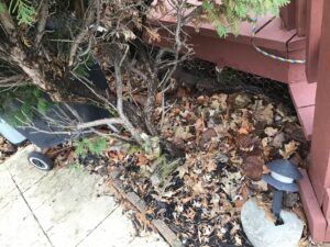 Shrub bed cleanup with fresh mulch by Lovett lawn care & snow removal in Omaha, NE.