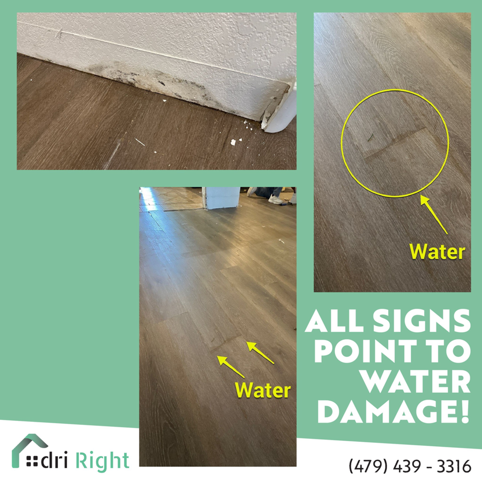 A collage showing signs of water damage including peeling baseboards and swollen laminate flooring, by Dri Right Restoration of Arkansas in Springdale, AR.