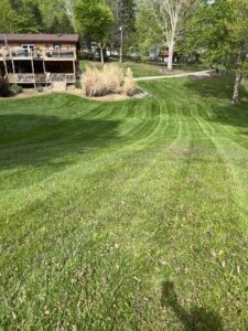 A large, sloped lawn expertly mowed with visible stripes, demonstrating the quality work of Ripley's Lawn Care, LLC in Charleston, WV.