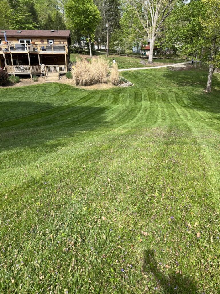A large, sloped lawn expertly mowed with visible stripes, demonstrating the quality work of Ripley's Lawn Care, LLC in Charleston, WV.