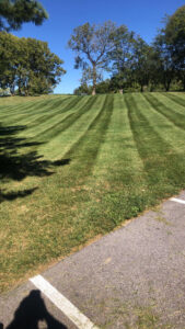 A sloped lawn showcasing clean mowing stripes, expertly maintained by Neace's Lawn Care LLC in Martinsburg, WV.