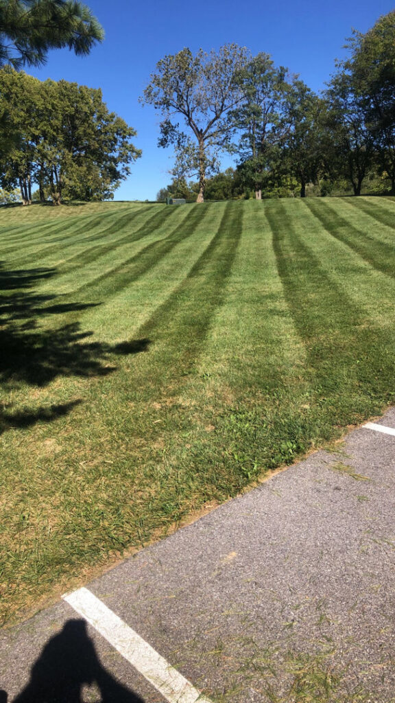 A sloped lawn showcasing clean mowing stripes, expertly maintained by Neace's Lawn Care LLC in Martinsburg, WV.