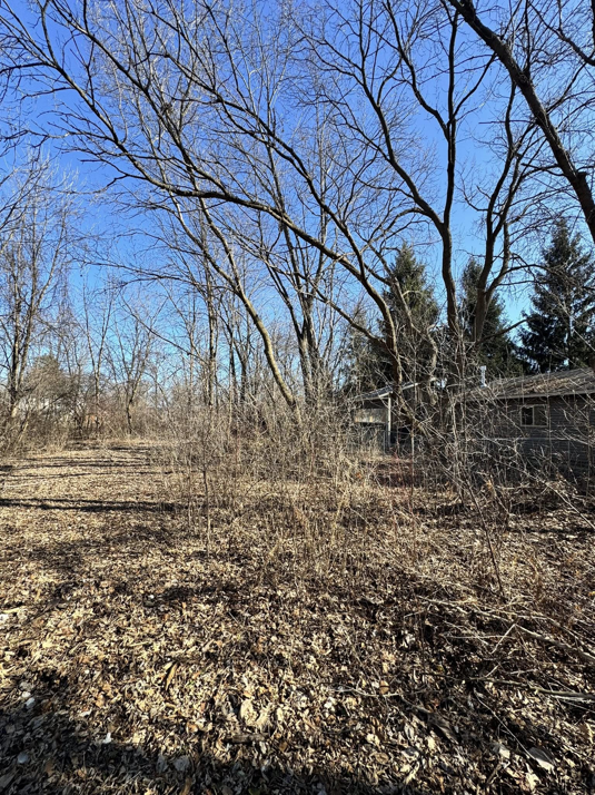 A small shed in a wooded area awaiting removal by R & S General Services LLC, a demolition contractor in Racine, WI
